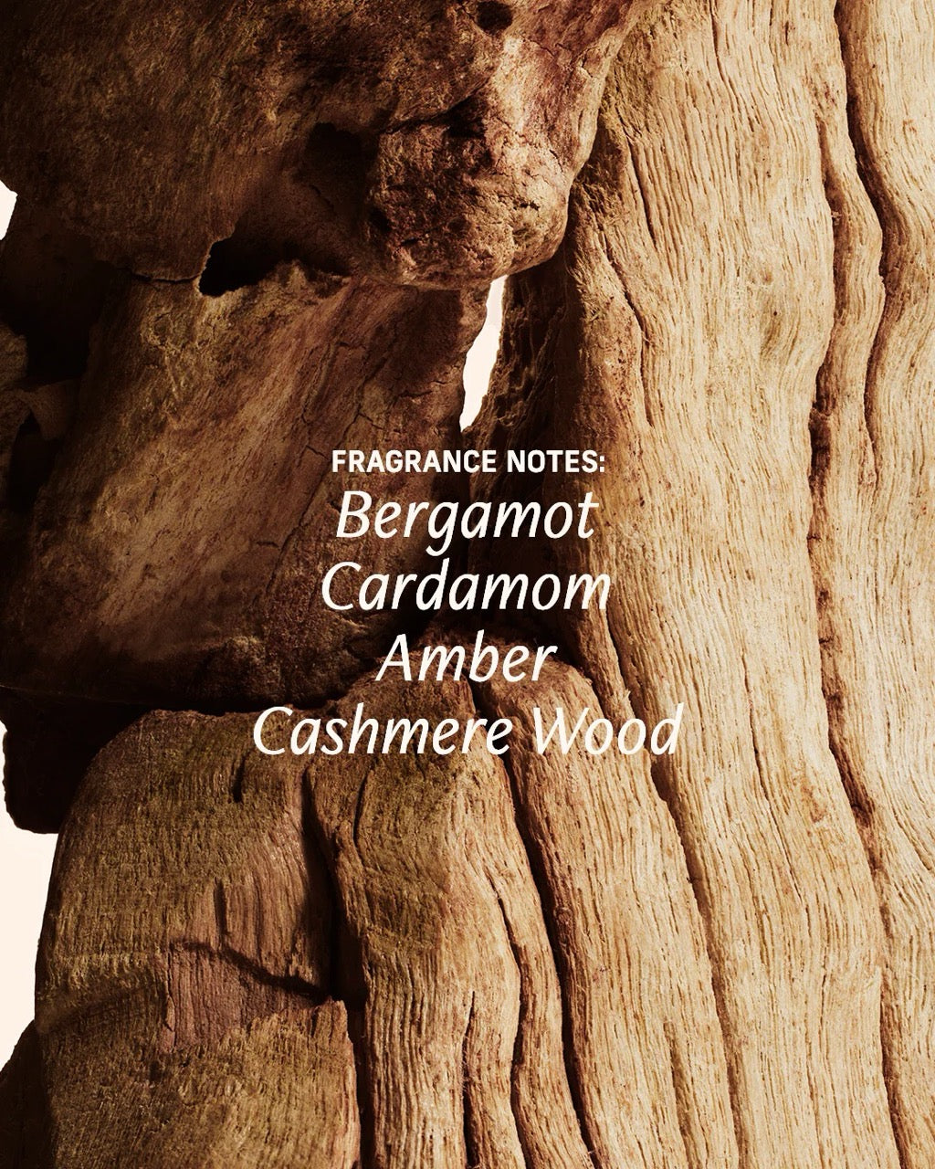 Mandelic Acid Brightening Roll On